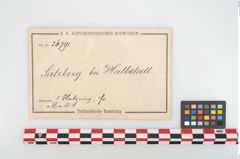 Etikett zu Eisenösenhalsreif (NHMW-PRAE-026791)